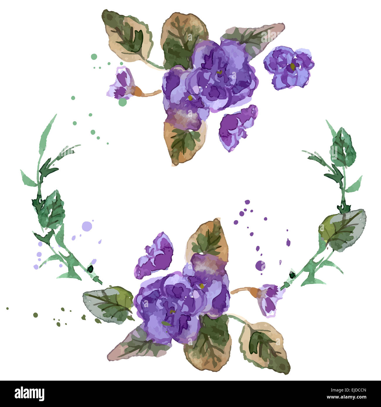 Watercolor Illustration of Violet Flowers Stock Photo - Alamy