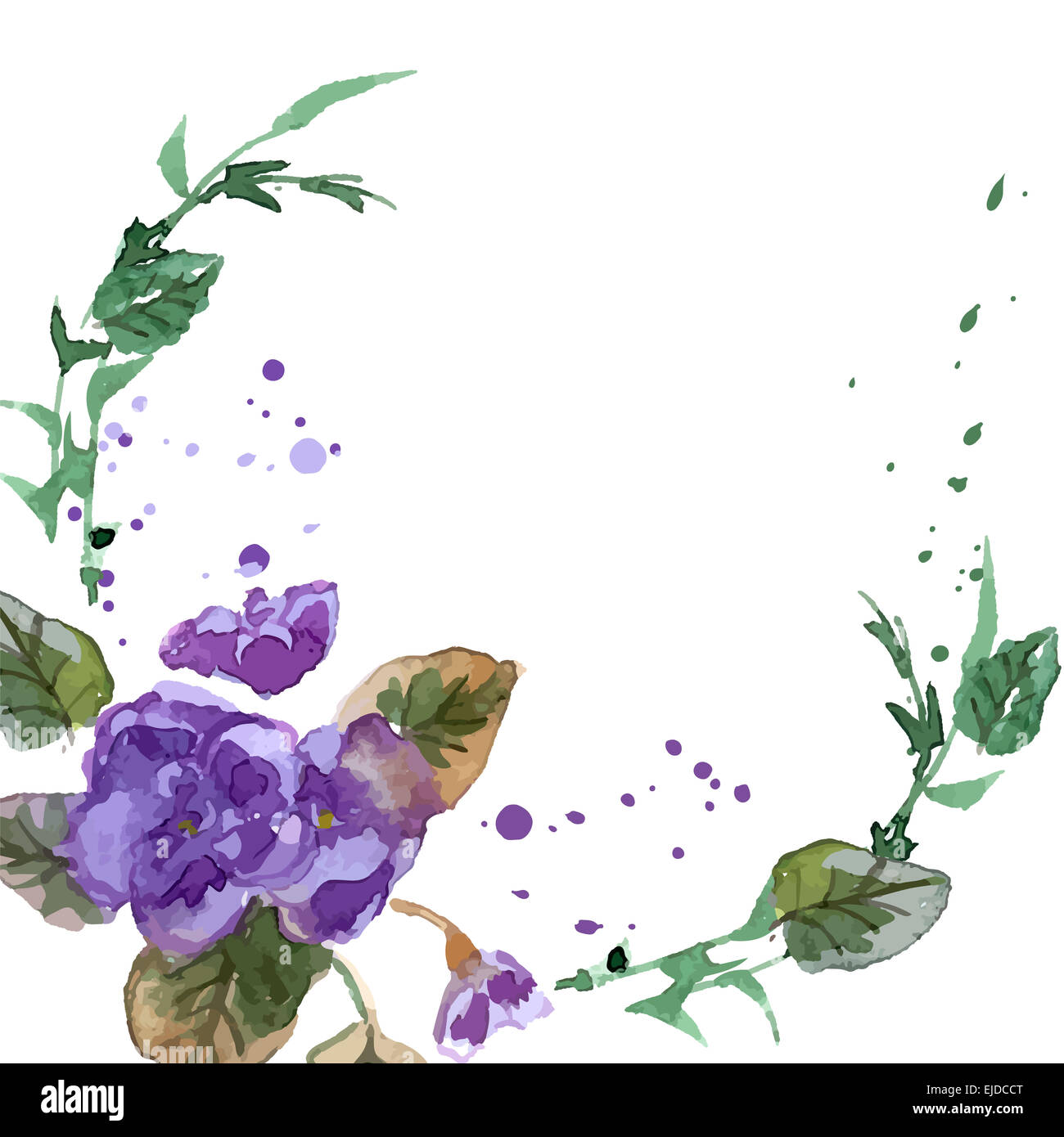 Watercolor Illustration of Violet Flowers Stock Photo - Alamy