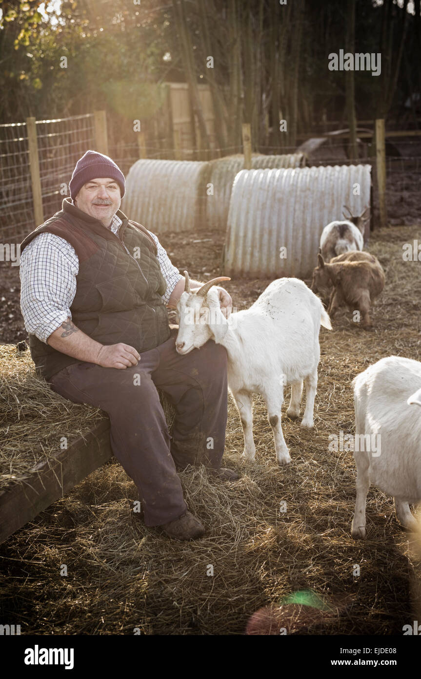 A farmer in a waistcoat and working clothes seated on a haybale, patting a white goat. Stock Photo