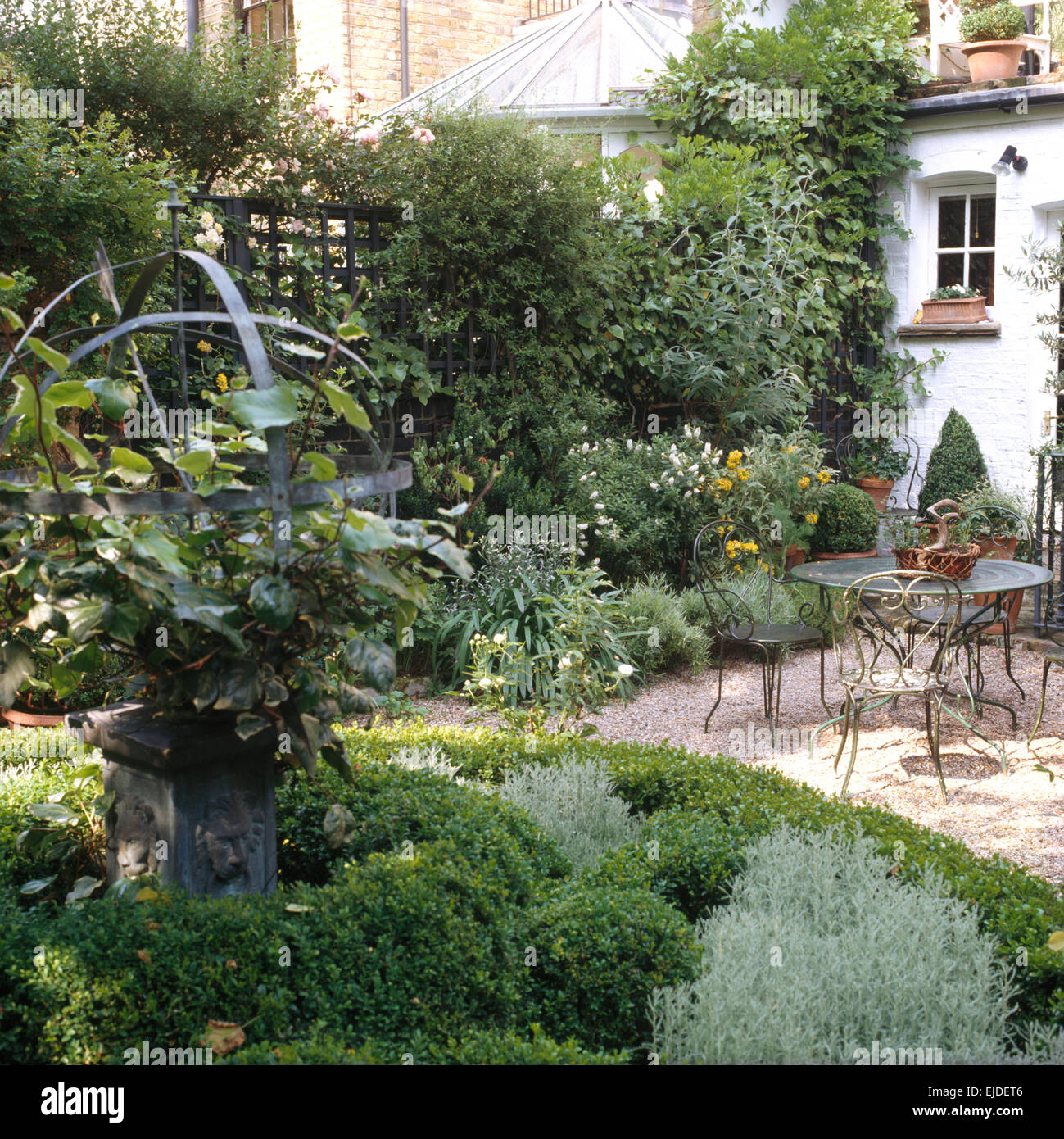 Gimbal in centre of circular bed of clipped box and santolina in townhouse garden with metal furniture Stock Photo