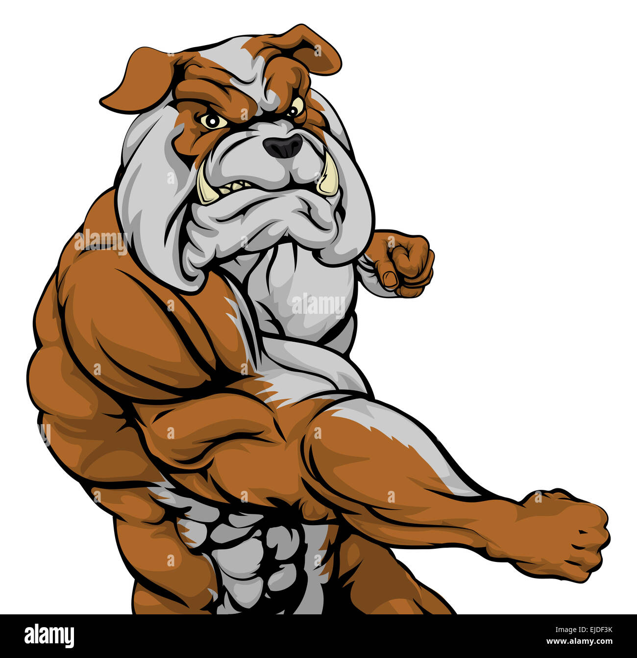 crazy bulldog cartoon