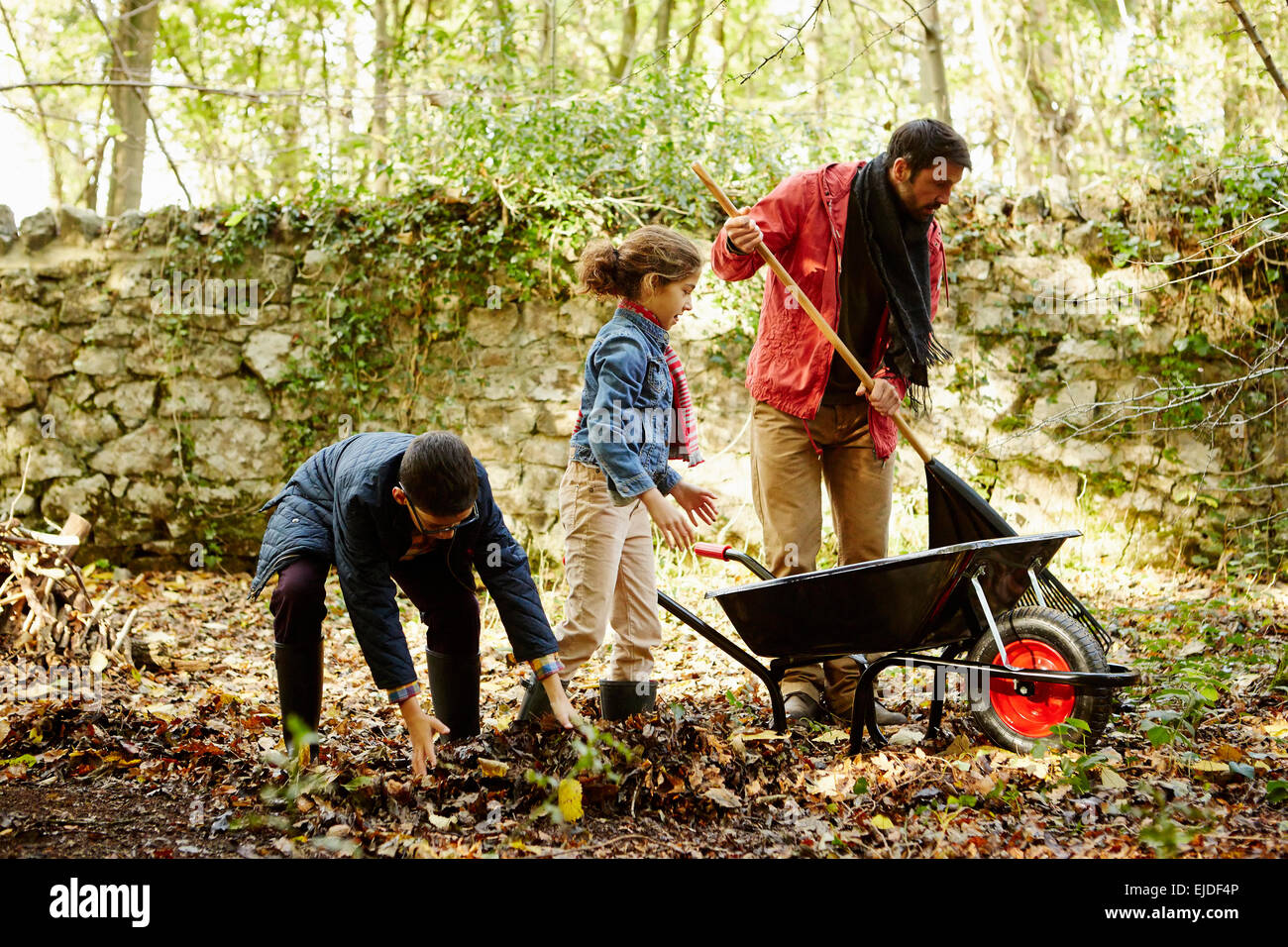 A family raking and scooping up leaves in autumn. Stock Photo