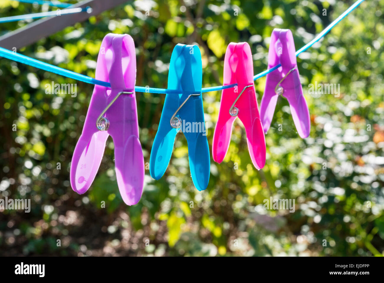 Four Brightly coloured/colored clothes-pegs on rotary clothes line in domestic garden Gloucestershire England UK Stock Photo