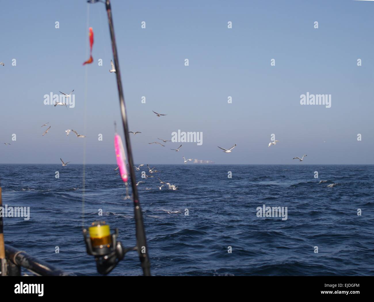 Bait casting rod hi-res stock photography and images - Page 16 - Alamy