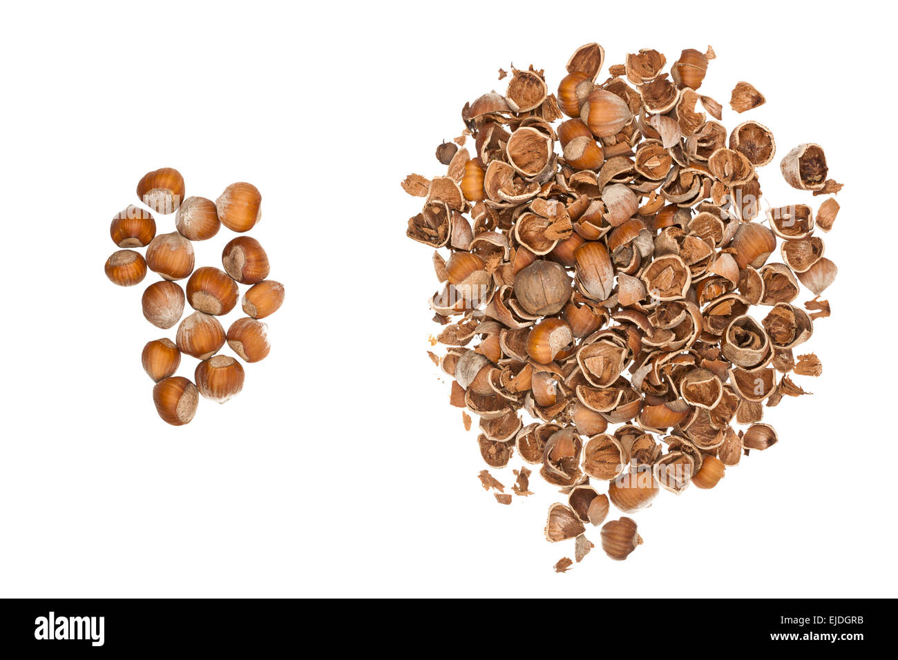 Open empty nutshell hires stock photography and images Alamy