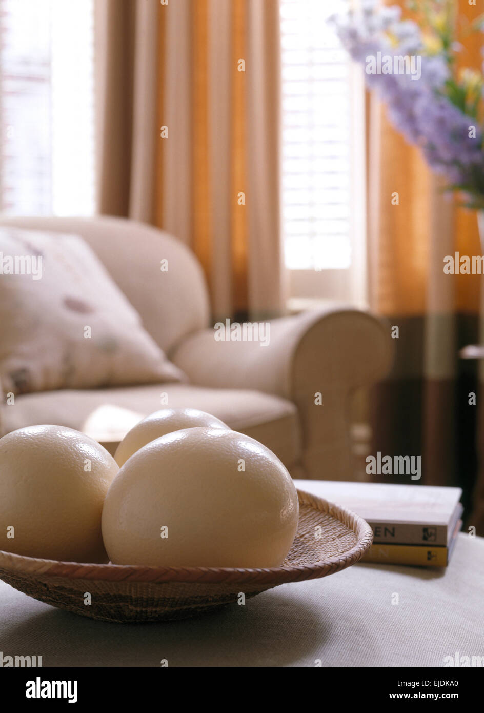 Closeup of ostrich eggs in a dish Stock Photo Alamy
