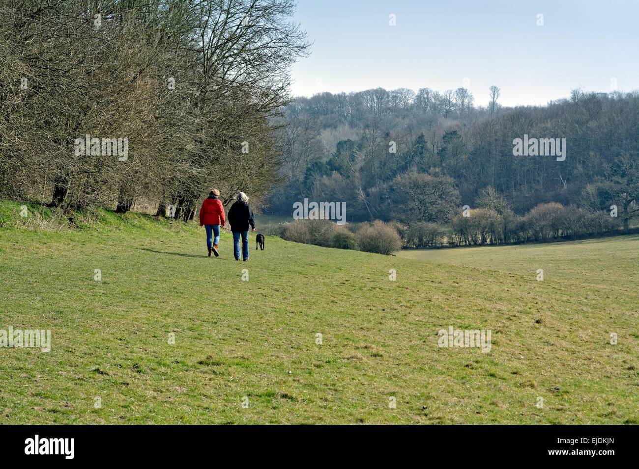 Two women walking a dog in the Surrey Hills Stock Photo