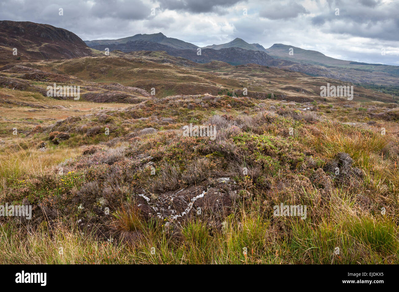 Wild moorland landscape on the hills above Beddgelert in Snowdonia, North Wales. Stock Photo