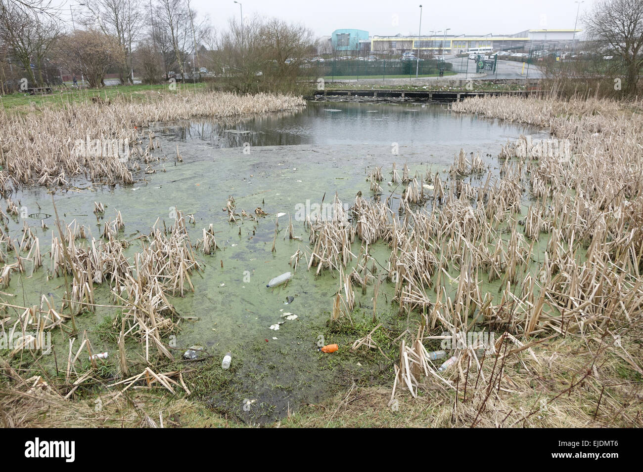 Litter, trash, plastic, glass, bottles, cans, bags and fast food cartons around a council estate pond in Bradford, West Yorkshire. Stock Photo