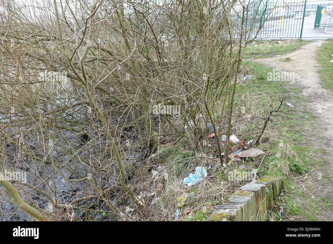 Litter, trash, plastic, glass, bottles, cans, bags and fast food cartons around a council estate in Bradford, West Yorkshire. Stock Photo