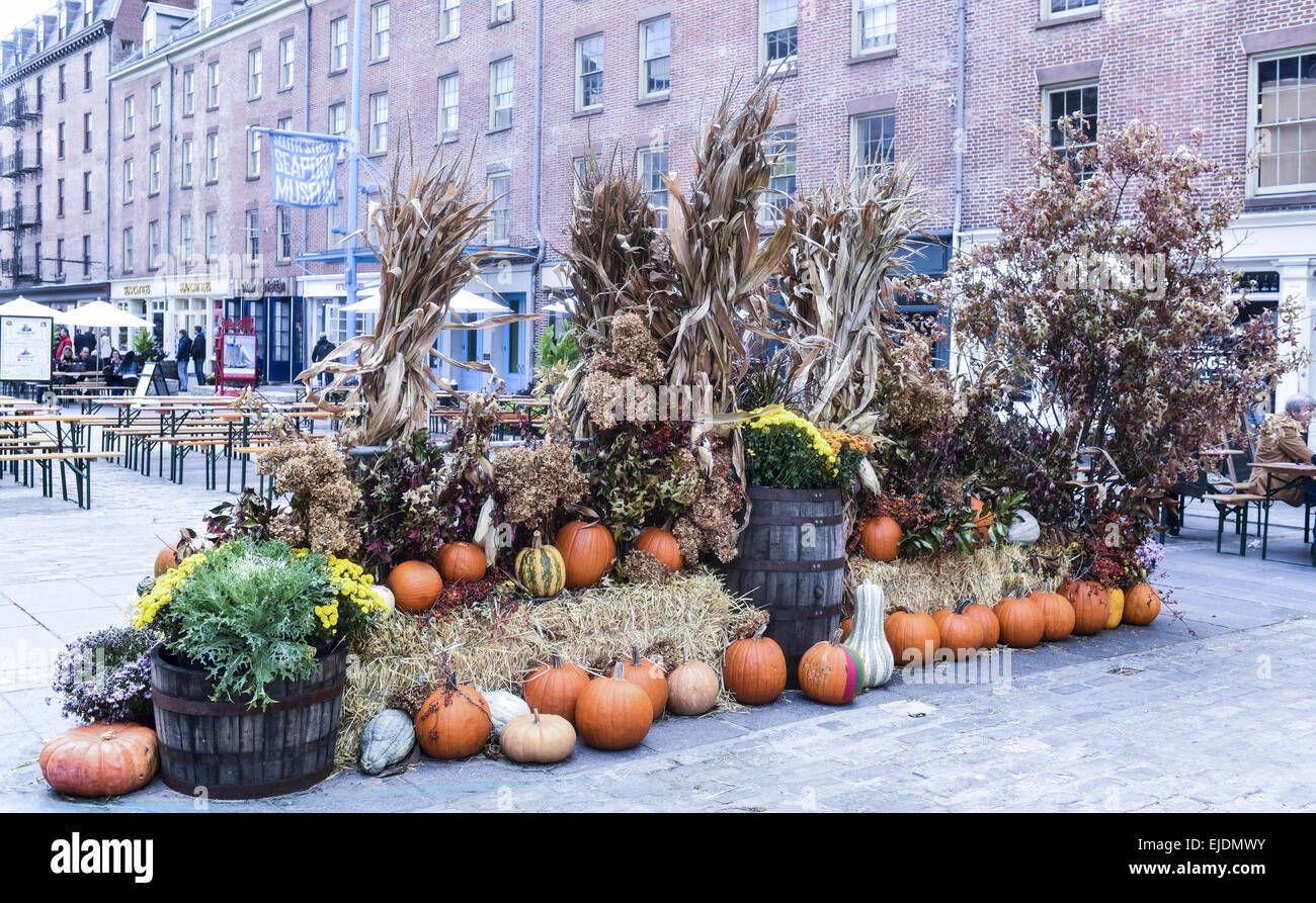 A bunch of flowers in New York City Downtown Stock Photo
