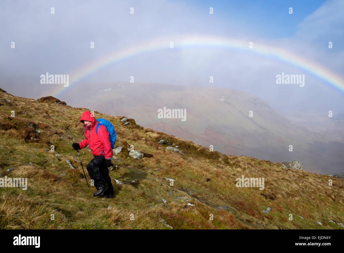 Hiker hiking up hill in wet weather with a rainbow on Pen yr Helgi Du in Carneddau mountains of Snowdonia National Park, North Wales, UK Stock Photo