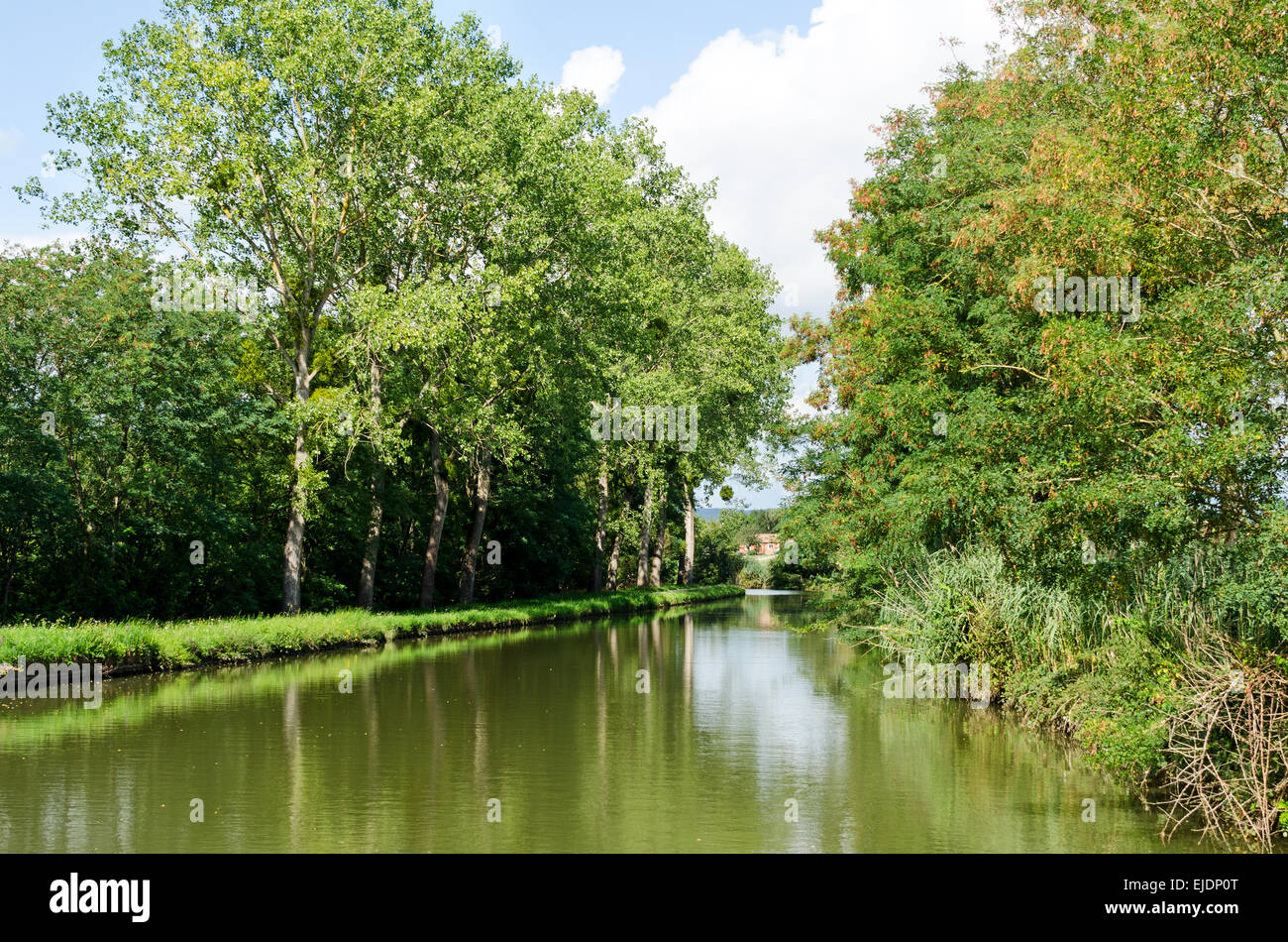 The Canal du Centre passes under a line of linden trees upriver from Fragnes, Burgundy, France. Stock Photo