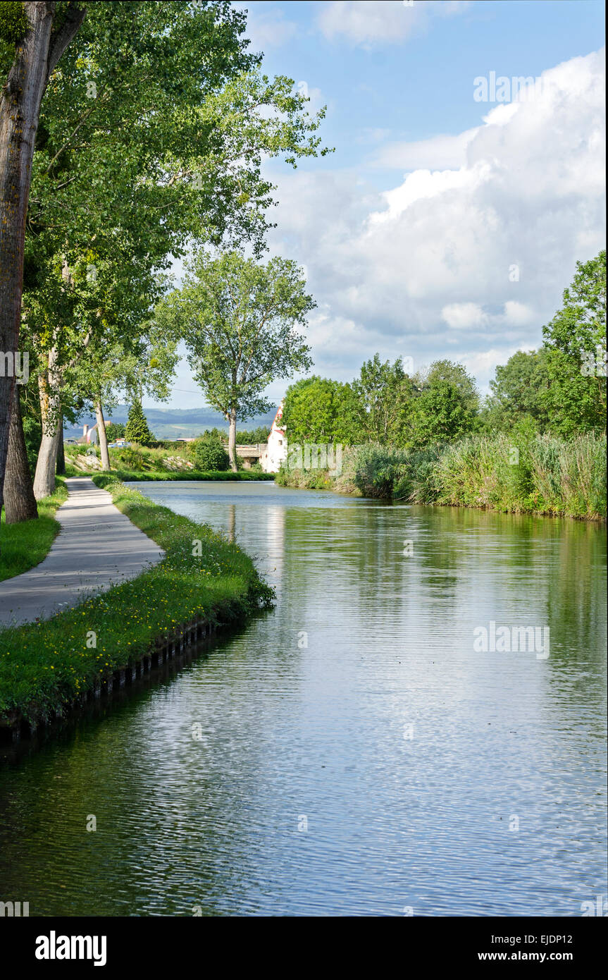 The Voie Verte, a bike and pedestrian path, runs under a line of linden trees by the Canal du Centre, France. Stock Photo