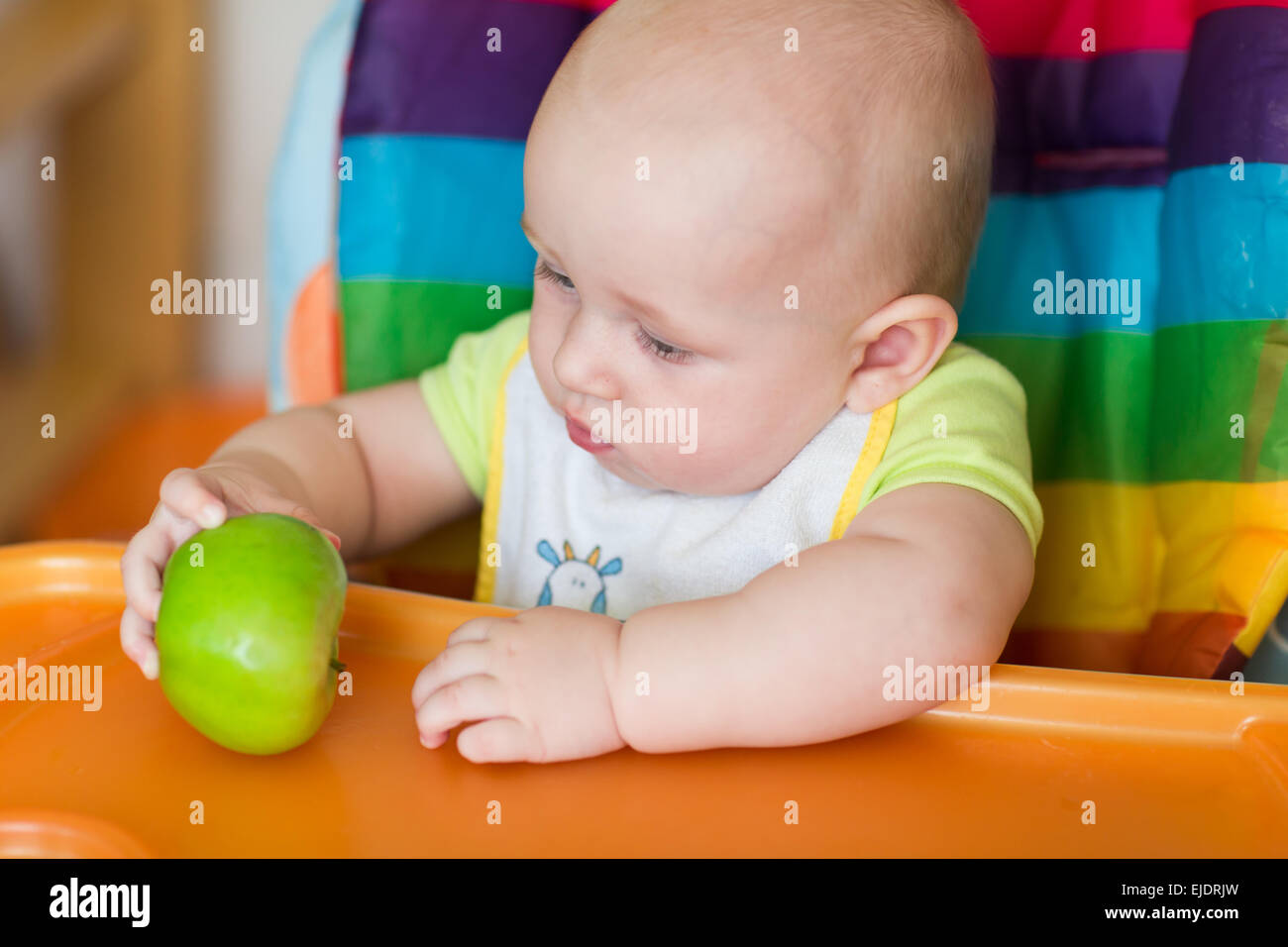 Adorable baby eating apple in high chair. Baby's first solid food Stock