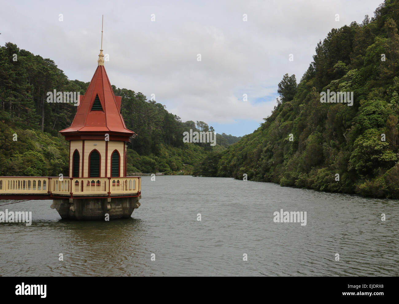 Zealandia eco sanctuary new zealand hires stock photography and images