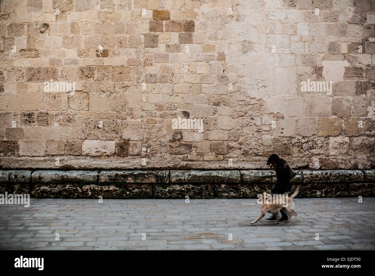 Woman walking her dog in a European city Stock Photo