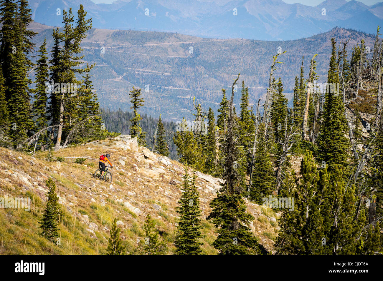 A mountain biker descends a ridge near Sheep Mountain in the