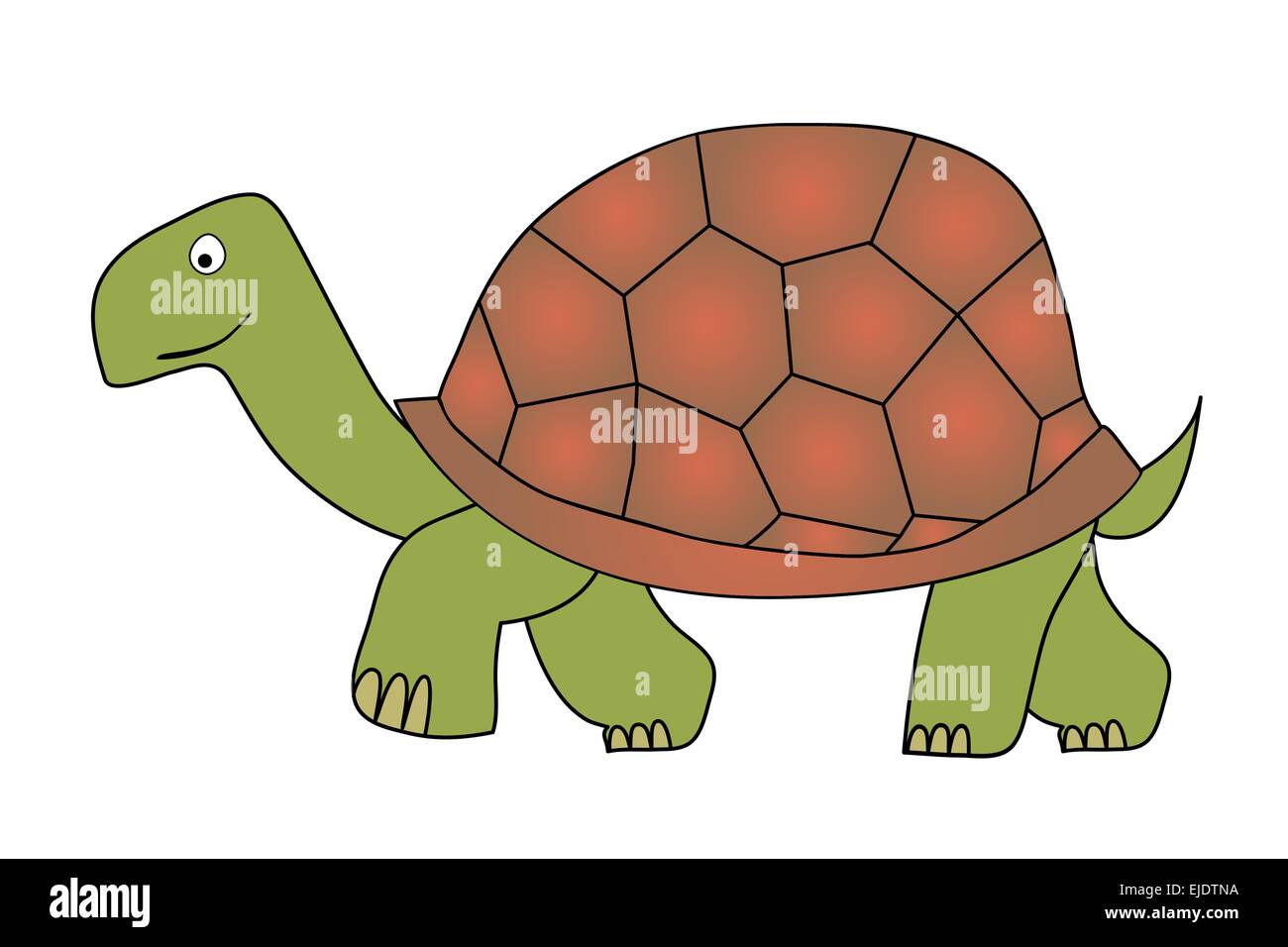Vector illustration of the tortoise - slow animal. Stock Vector