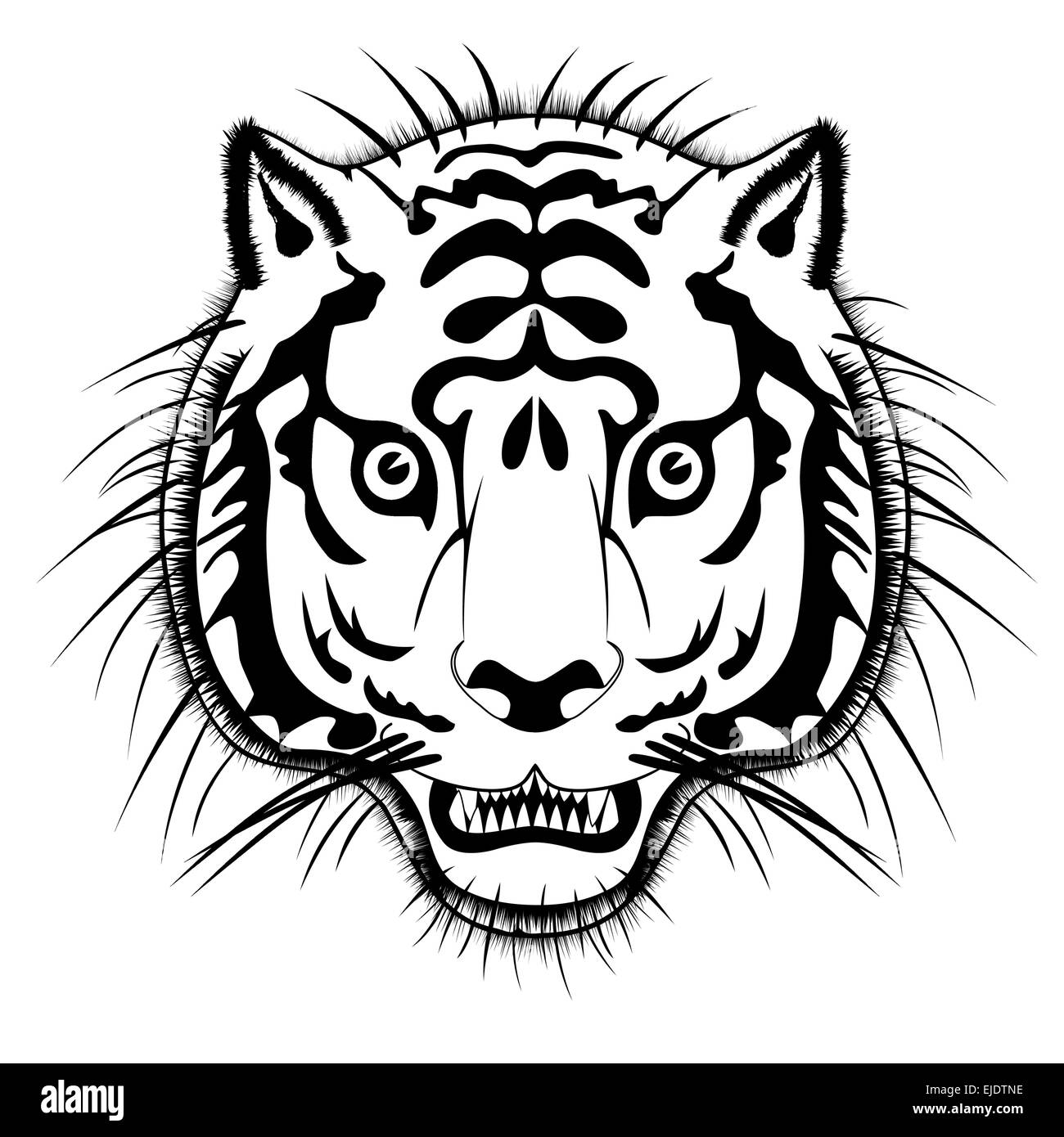 Tiger line art vector silhouette Stock Photo - Alamy