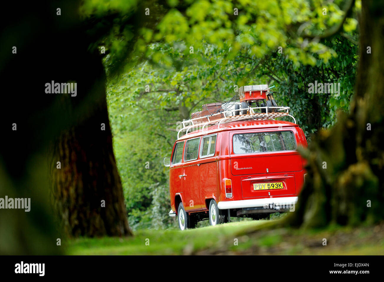 Rear view of a bright red UK-registered Volkswagen campervan driving on a country road through a forest. Stock Photo