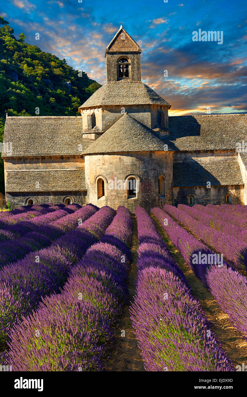 The 12th century Romanesque Cistercian Abbey of Notre Dame of Senanque, in flowering lavender fields of Provence. Stock Photo