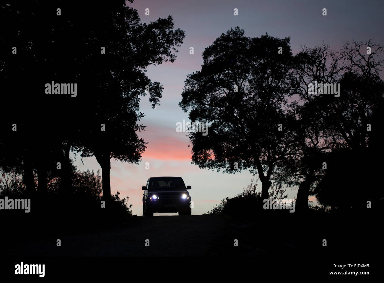 A truck drives at sunset in a dirt road in Prado del Rey, Cadiz province, Andalusia, Spain Stock Photo