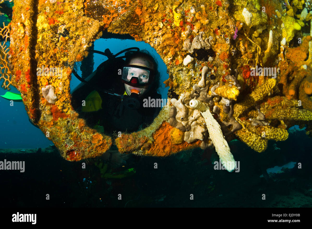 A diver looks through a Lesleen M freighter wreck's porthole covered in corals and tube sponges, Castries, St. Lucia. Stock Photo