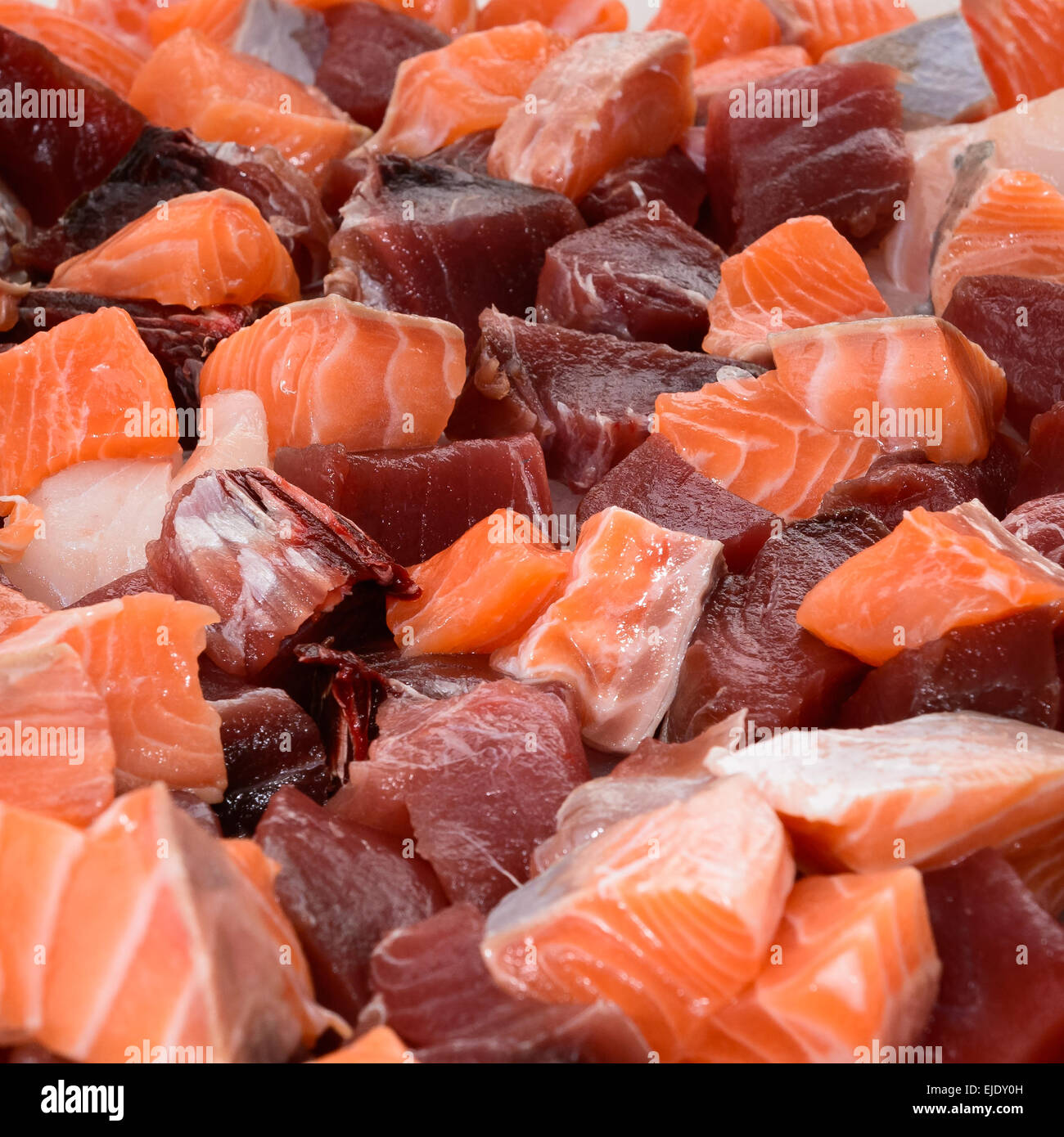 close up at pieces of Salmon and tuna. Stock Photo