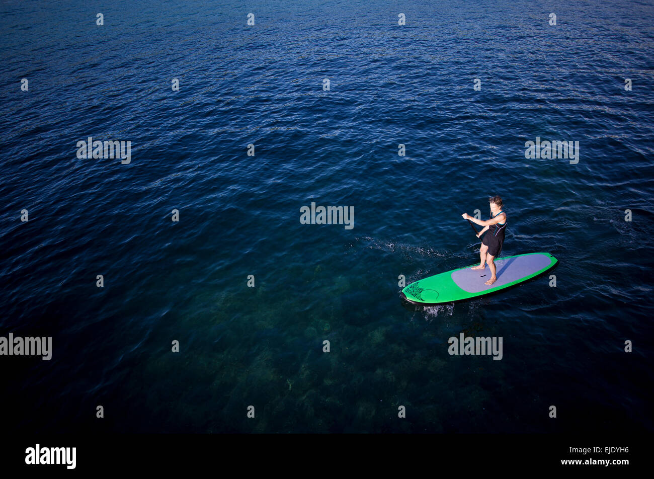 Paddle Boarder Stock Photo