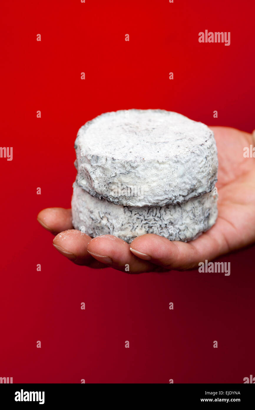 Hand holding Soft Cheeses at Mons Cheesemongers London Stock Photo