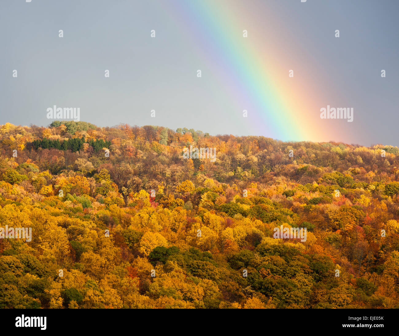 Fall Colors with a Rainbow Stock Photo - Alamy