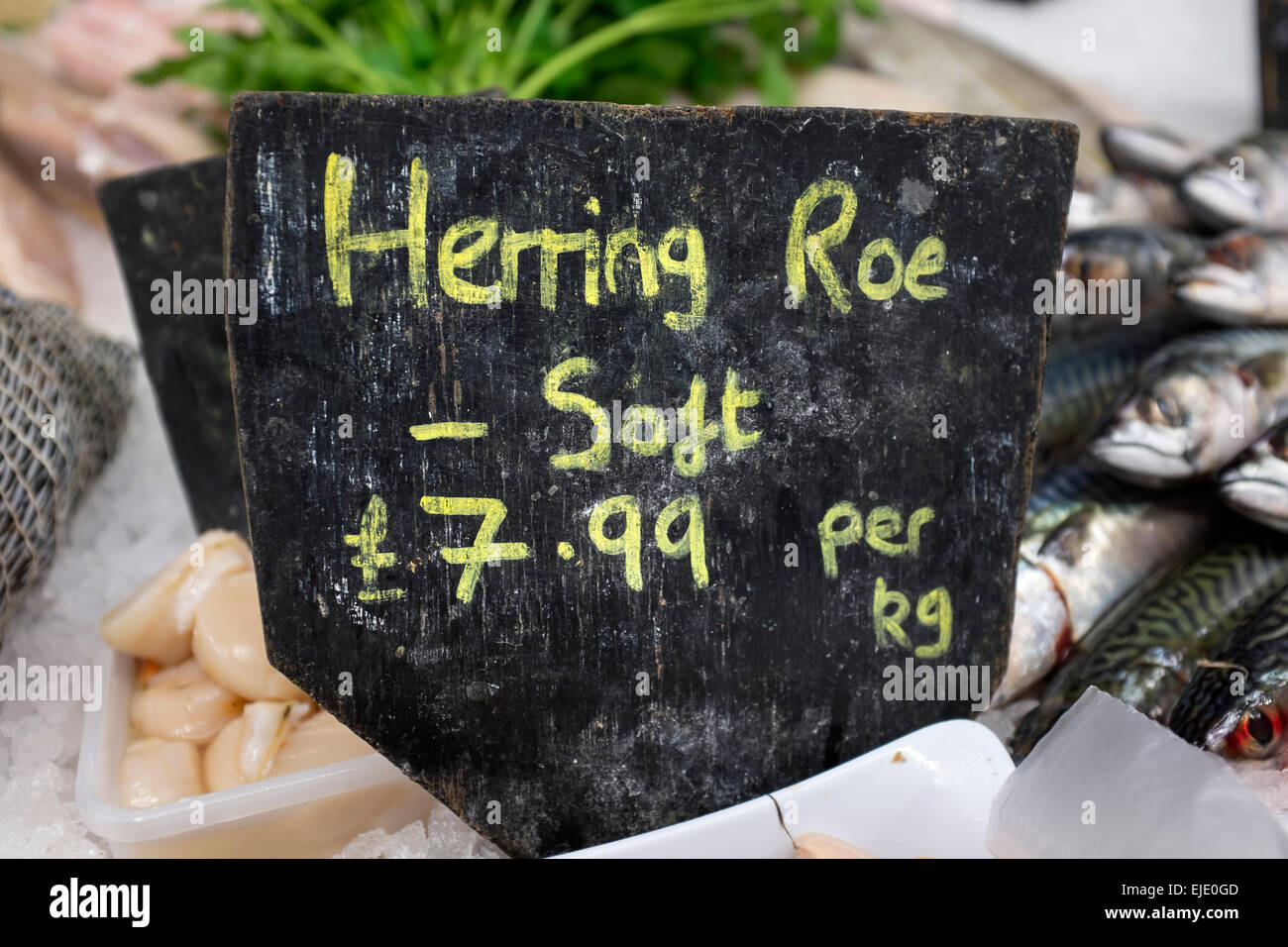 Soft Herring Roe on Sale at Whitstable Fish Market Stock Photo Alamy