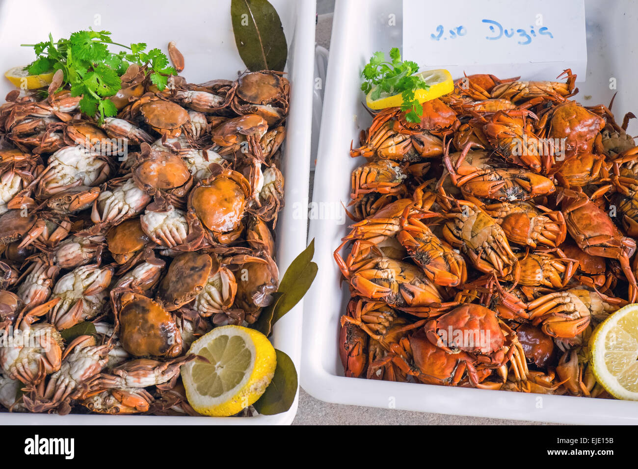 Small crabs for sale at a market Stock Photo - Alamy