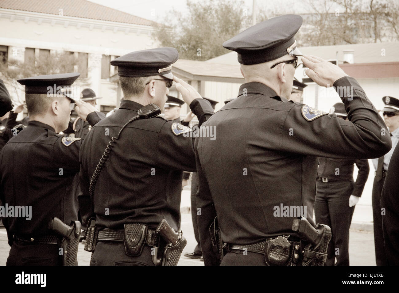 Police Officer Salute Stock Photo