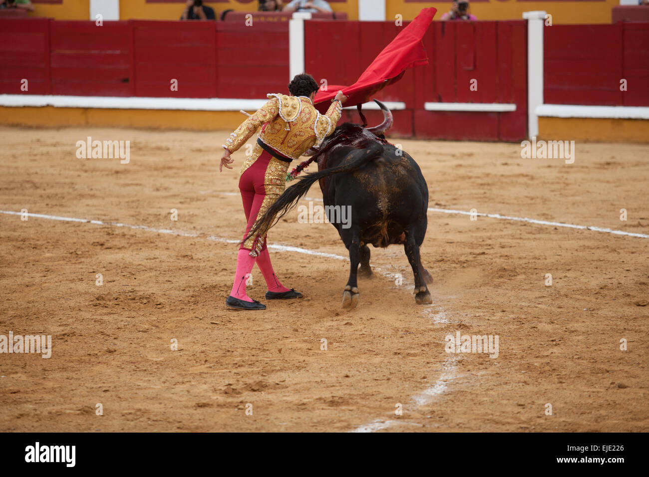 Spanish torero performing a bullring, Badajoz, Spain Stock Photo
