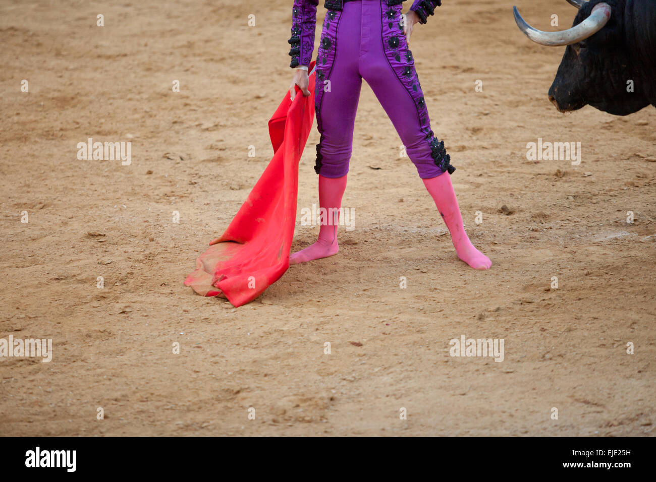 A barefoot bullfighter waits the bull with the capote during a bullfight Stock Photo