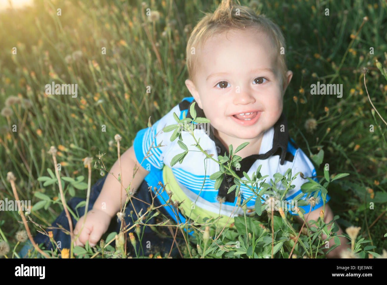 little boy at the sunset in a field Stock Photo