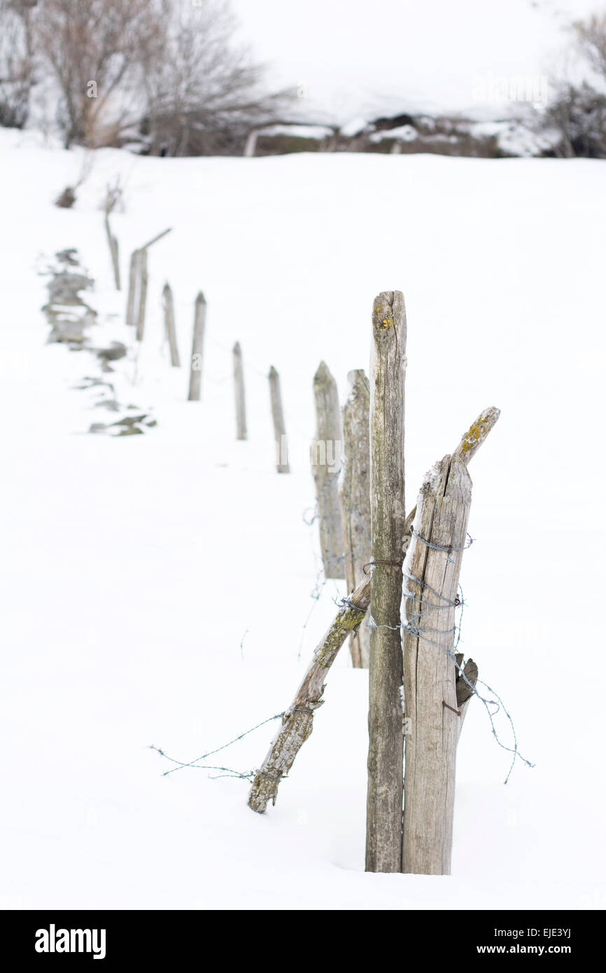 Vertical landscape with a fence Stock Photo - Alamy
