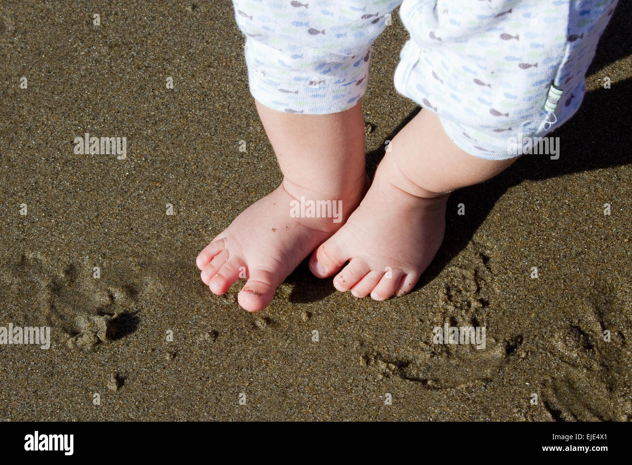 Baby Feet Walking on Sand Stock Photo