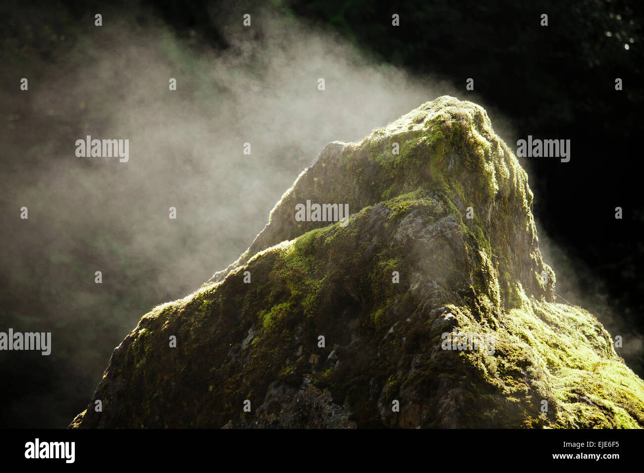 Sun causes evaporation and steam to come off a large boulder. Stock Photo