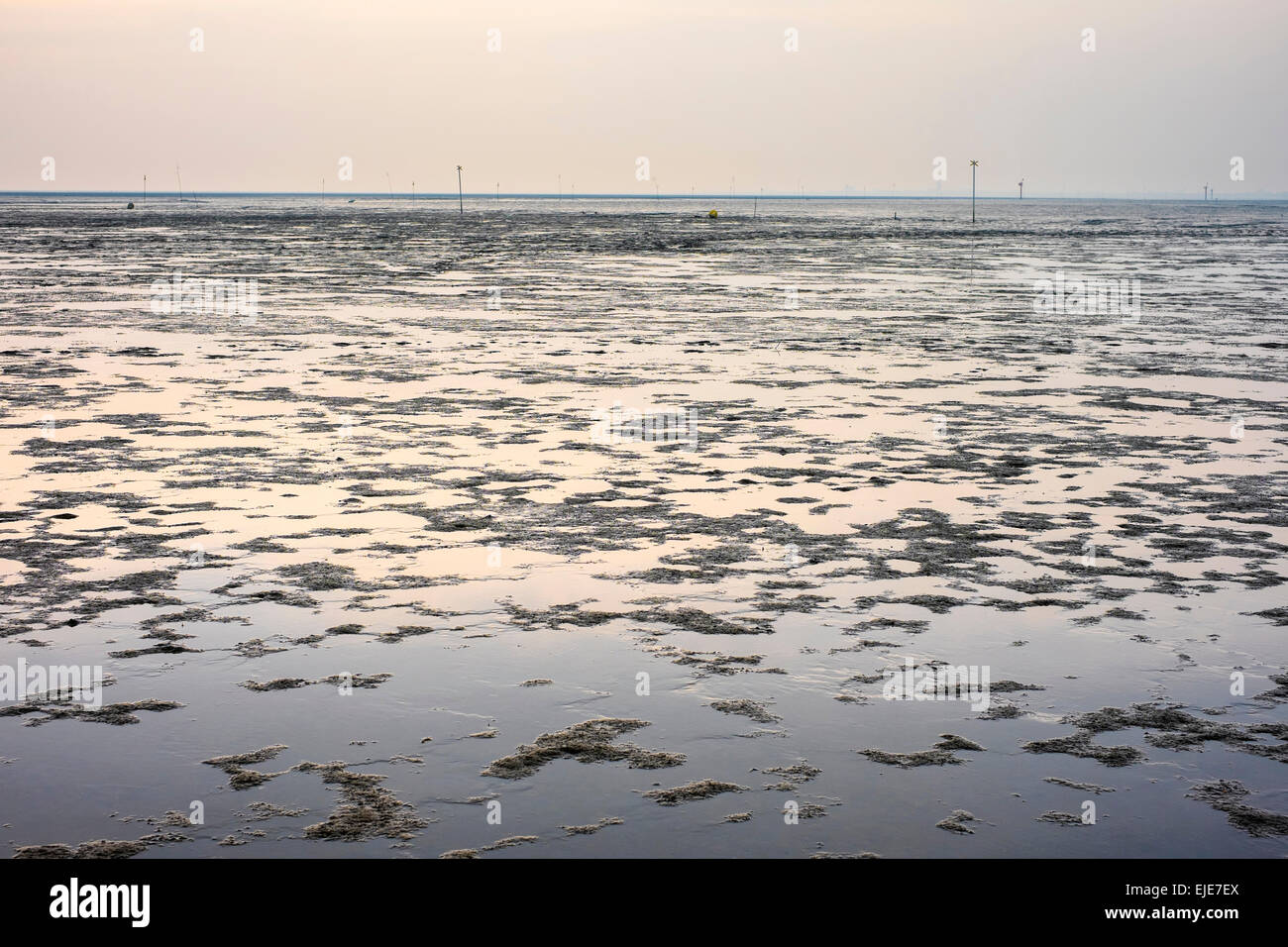 Mudflats of the Wadden Sea (Wattenmeer) at low tide, Germany Stock Photo