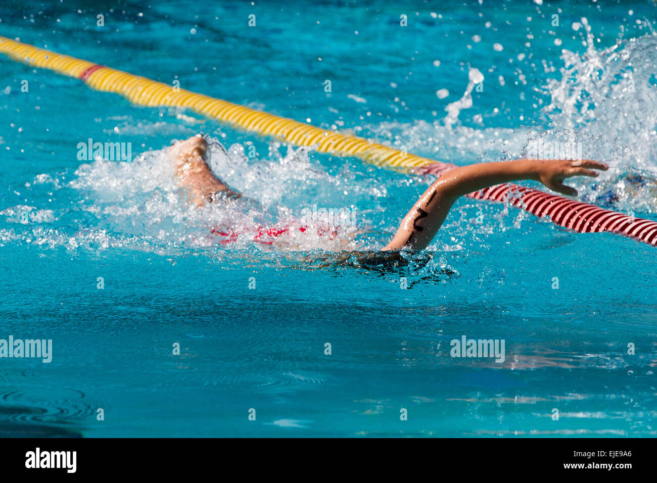 Swimmer Swimming Freestyle Stock Photo - Alamy