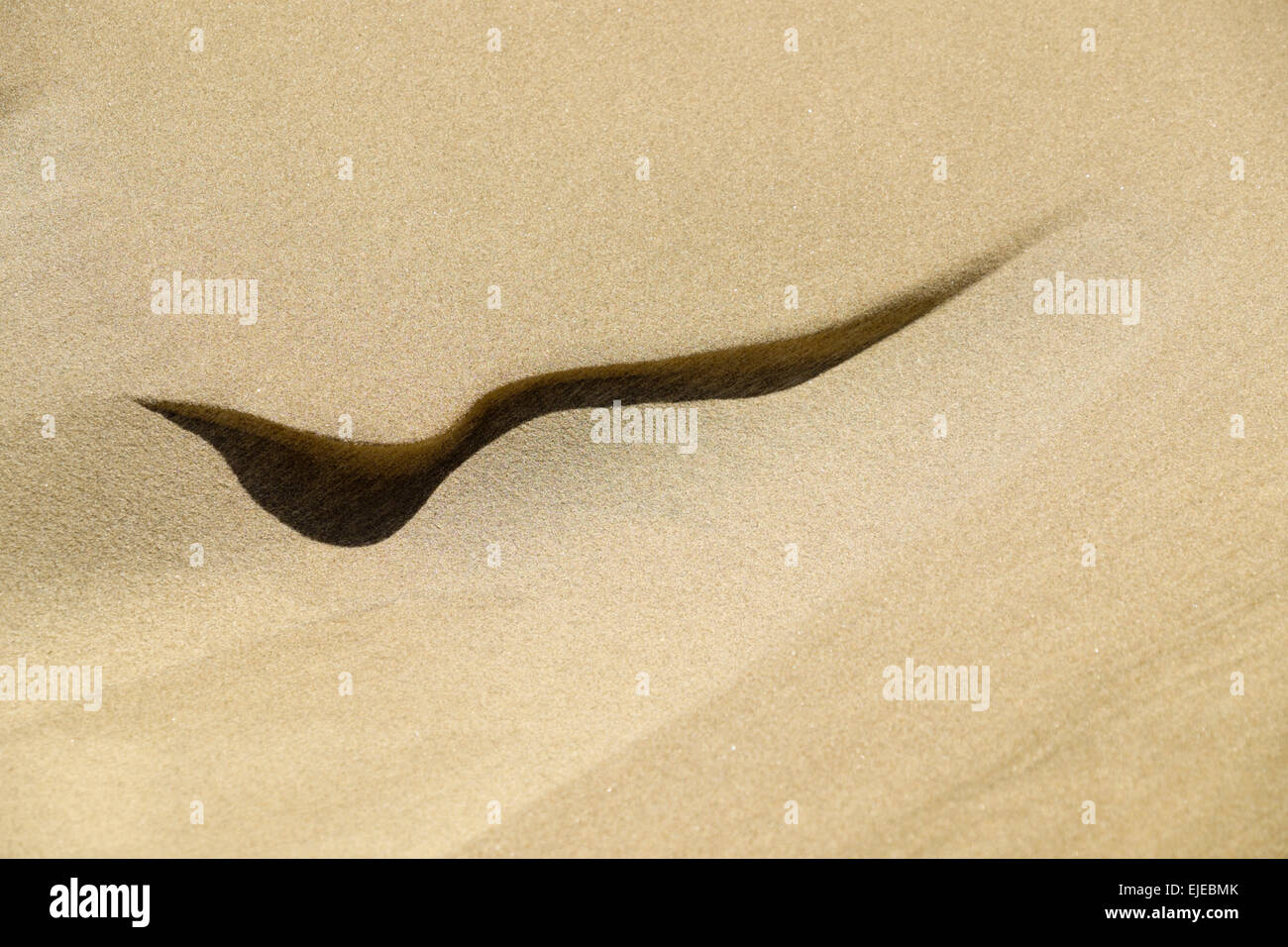 Pattern in the blowing sand on the beach at South Padre Island, Texas, USA Stock Photo