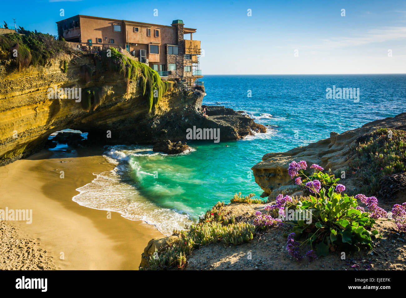 Flowers and view of a house on a cliff and a small cove at Table Rock