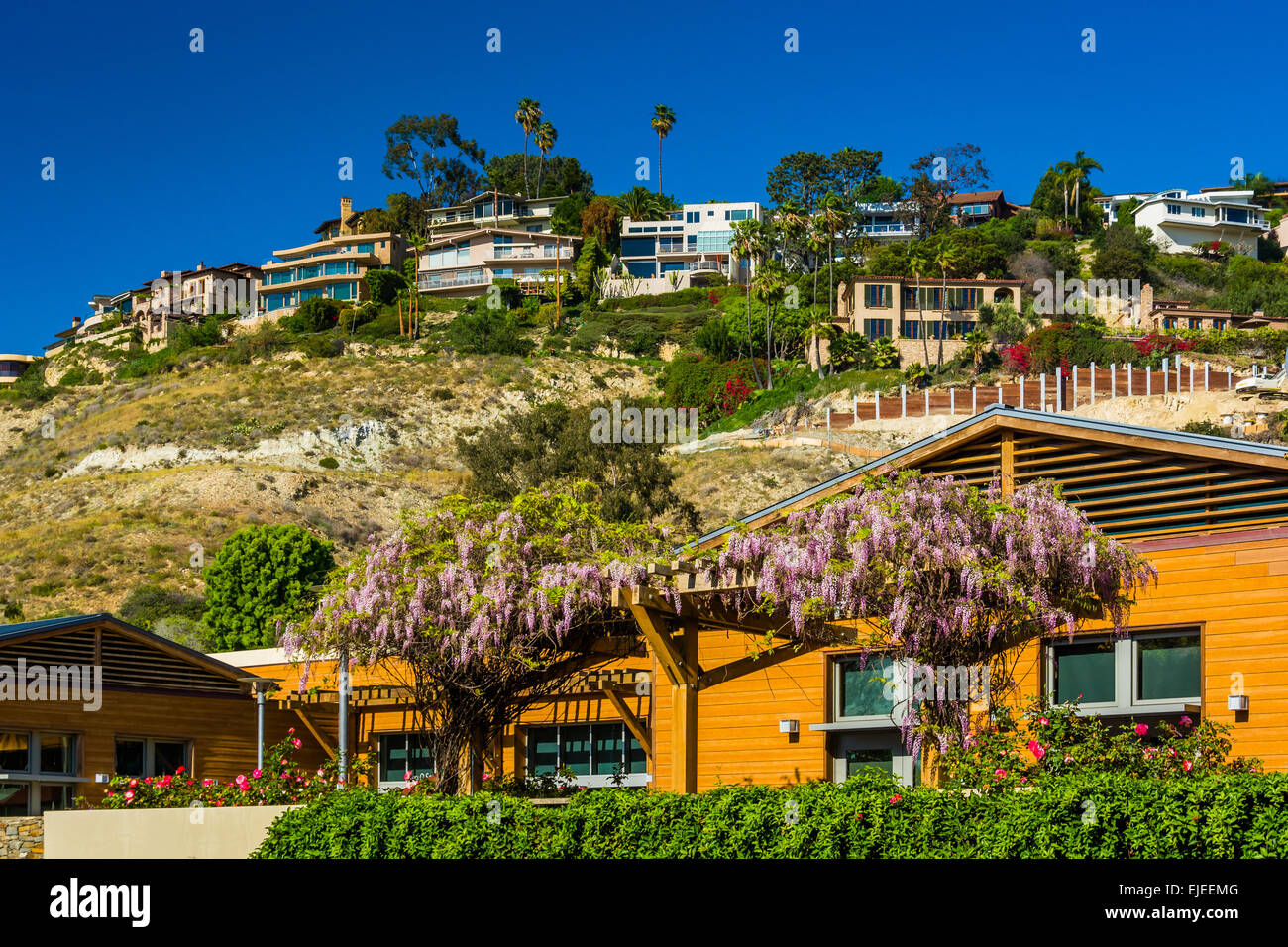 Houses on a cliff in Laguna Beach, California Stock Photo Alamy