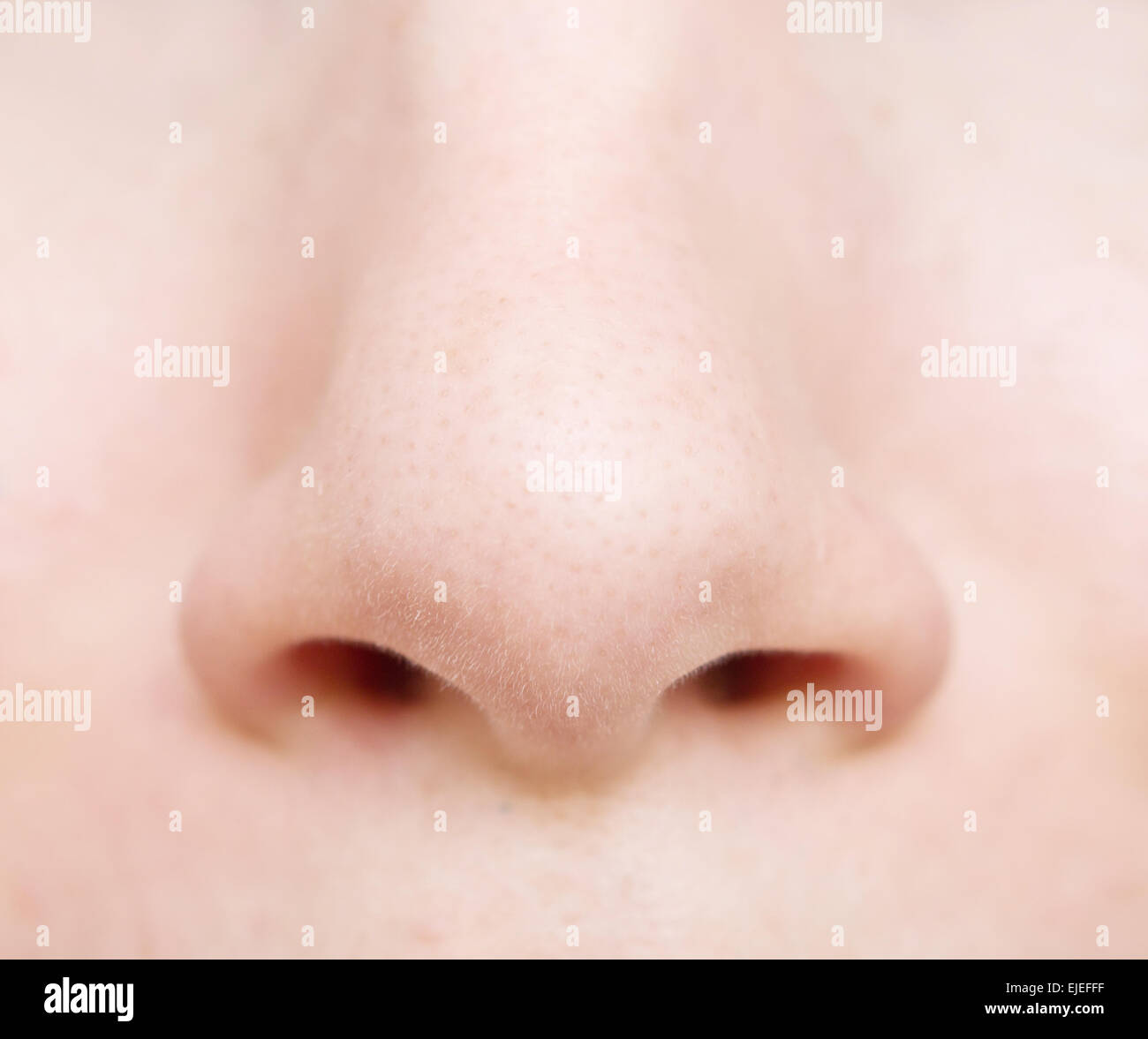 close up of woman nose Stock Photo