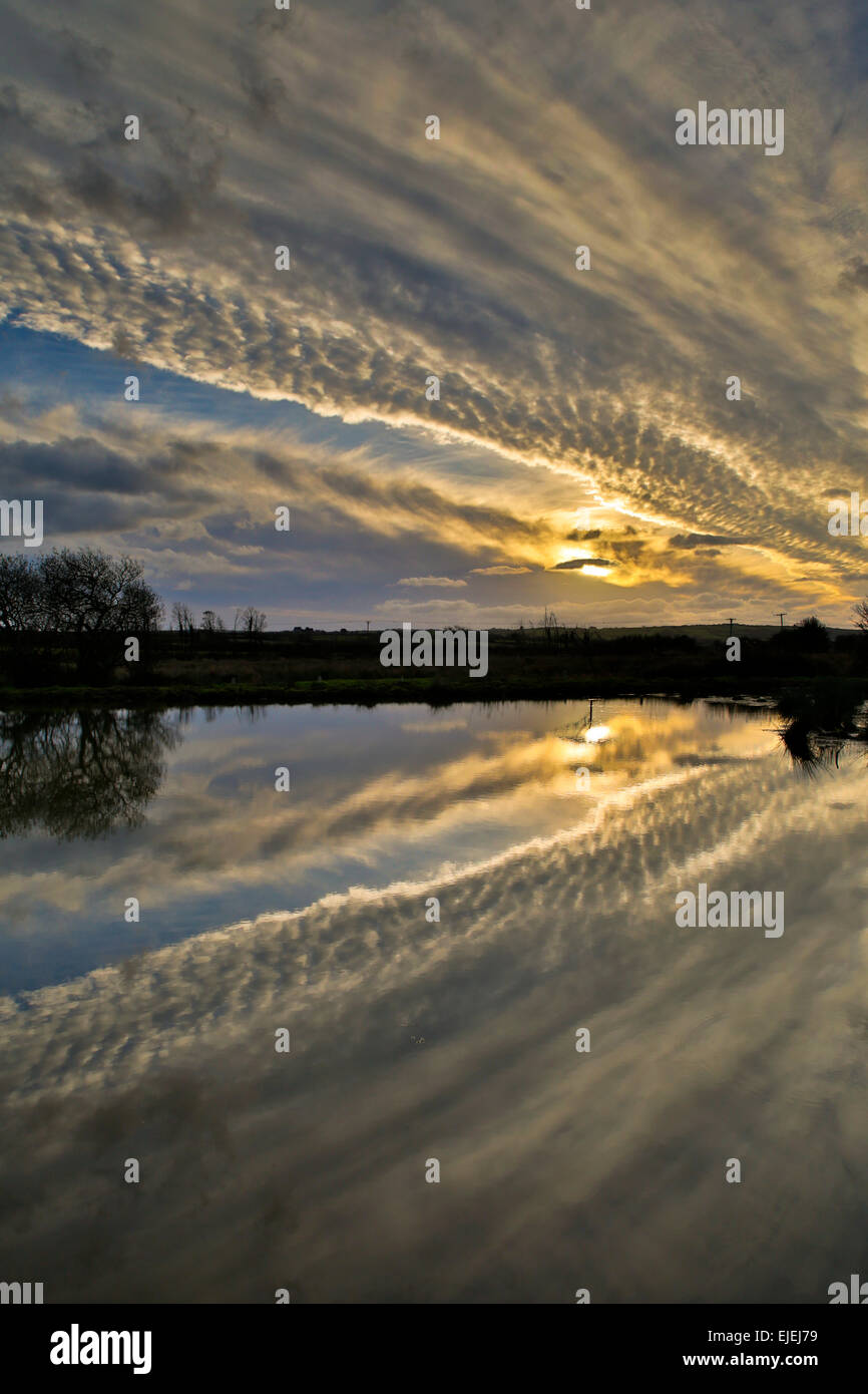 River Reflection; Wadebridge; Cornwall; UK Stock Photo