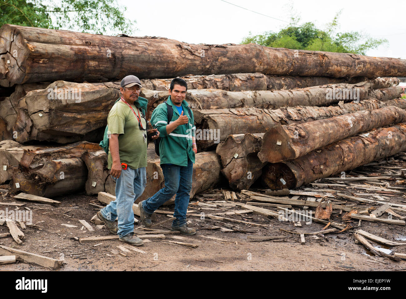 Greenhaert Group, Hardwood sawmill, Apura, Suriname Stock Photo