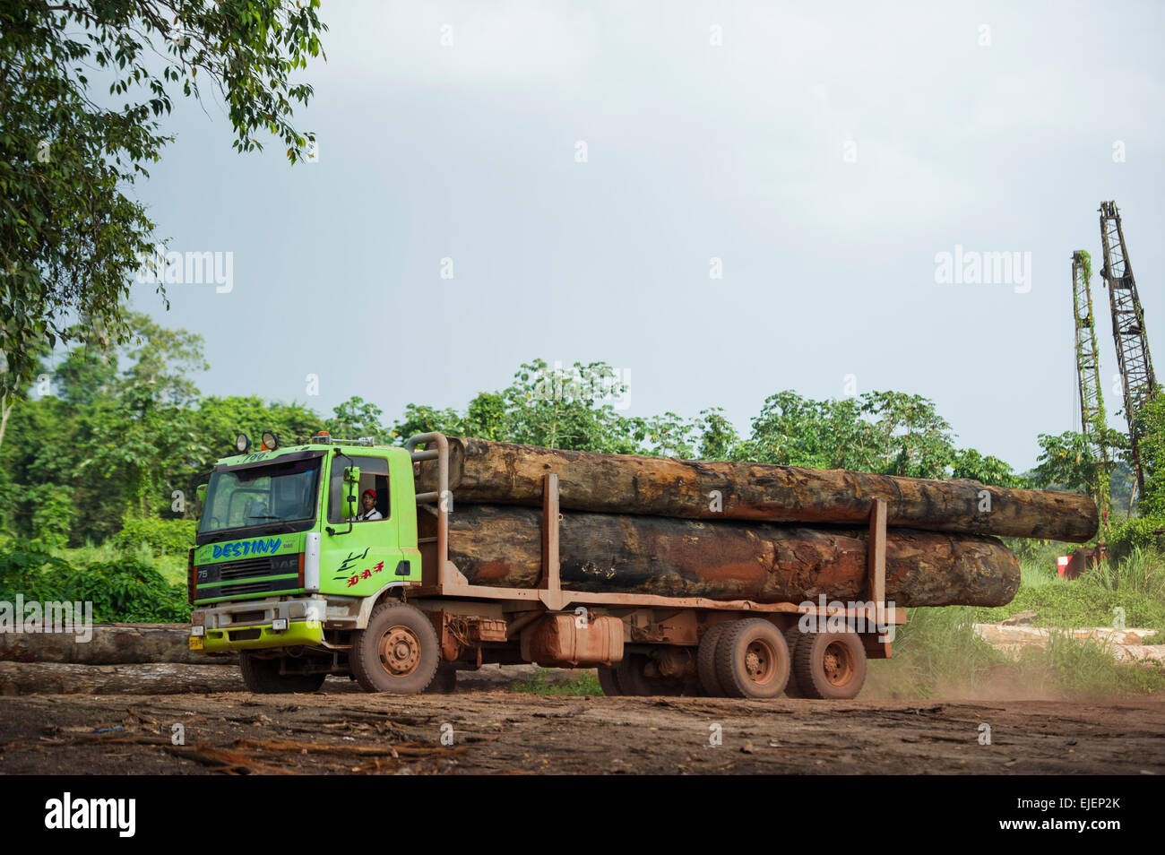 Greenhaert Group, Hardwood sawmill, Apura, Suriname Stock Photo